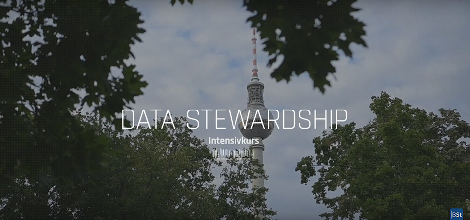 Data Stewardship Video